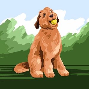 Meet your Posher, Aloha